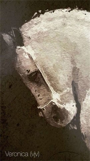 Glaze油画滤镜2025图1